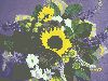 flowers.jpg (4.02 KB), Просмотрено 7059 раз(а)